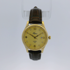 Pafolina Watch Elegant Sapphire Quartz – Classic Gold-Tone & Brown Leather Strap 28 mm